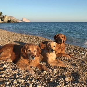 Amira, Fly und Aileen am Strand in Spanien im Januar 2019