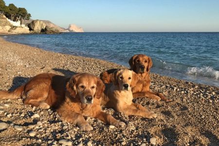 Amira, Fly und Aileen am Strand in Spanien im Januar 2019